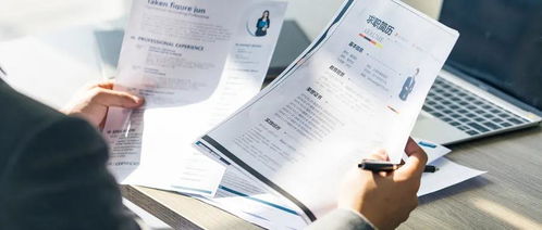 獵頭公司與職業(yè)中介服務的核心區(qū)別 不只是“找人”那么簡單