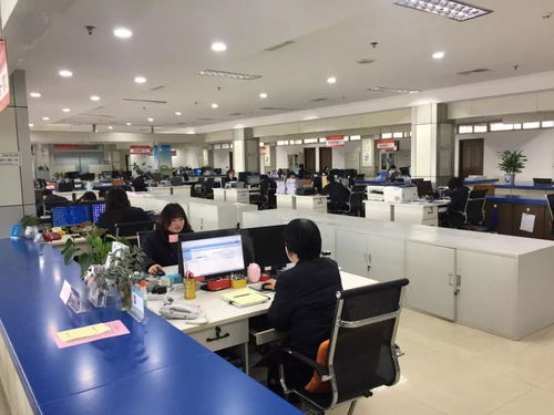 高效政務(wù)服務(wù)新開局，區(qū)政務(wù)服務(wù)中心各窗口節(jié)后首日全力投入